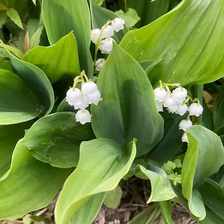 Aalens Schoenste Aussicht