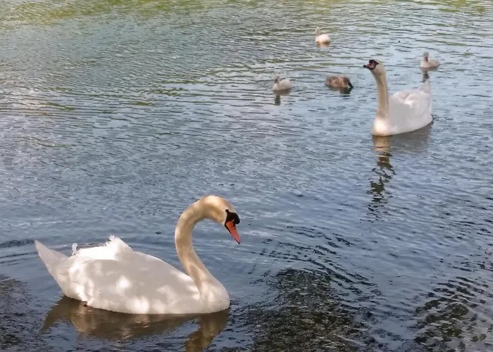 Aalens Schoenste Aussicht شقة *